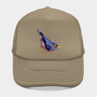 Sulphur-billed Nuthatch + Amazing Grey Poppy Hat