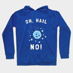 Oh Hail No Hoodie
