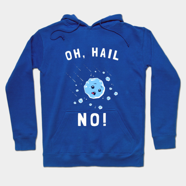 Oh Hail No Hoodie by dumbshirts