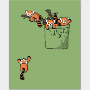 Pocket Red Panda Bears Posters and Art