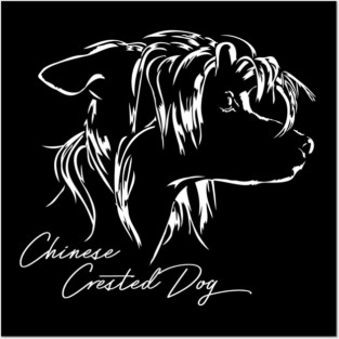 Proud Chinese Crested dog portrait Posters and Art