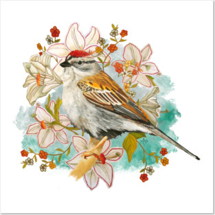 Chipping Sparrow And Flowers Posters and Art
