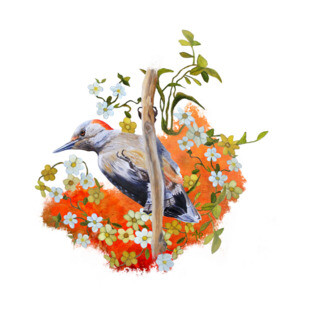 Gardenwatch Woodpecker T-Shirt