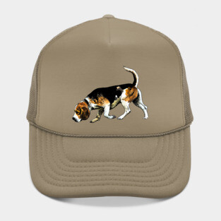 beagle Hat