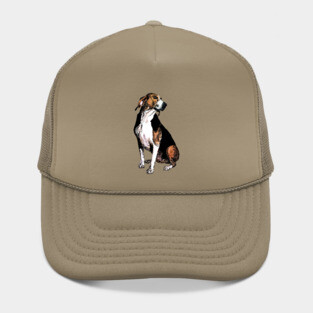 beagle Hat