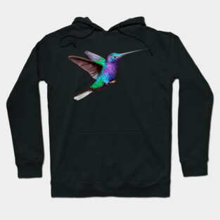 Hummingbird Hoodie