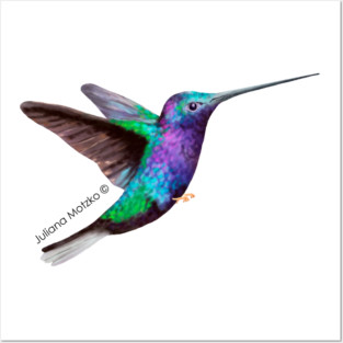 Hummingbird Posters and Art