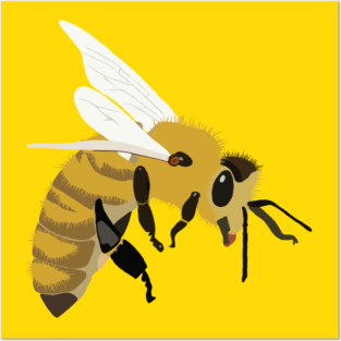 Queen Bee Posters and Art