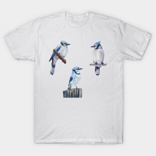 Painted Blue Jay set T-Shirt