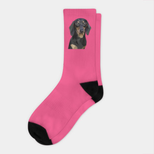 Dachshund Socks
