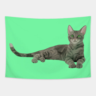 Cute Gray Tabby Kitten Tapestry