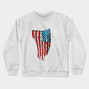 America Crewneck Sweatshirt