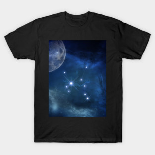 Zodiac sings Sagittarius T-Shirt