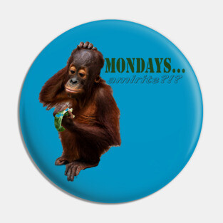 Mondays am I right Pin