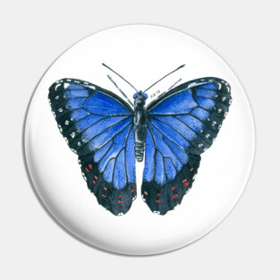 Blue Morpho butterfly watercolor painting Pin