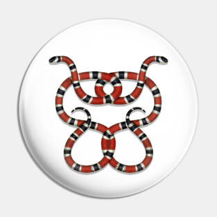 Double Take Snake Pin