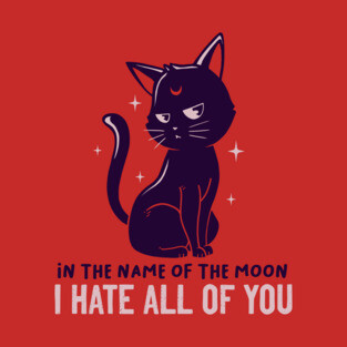 In The Name Of The Moon Funny Cute Cat