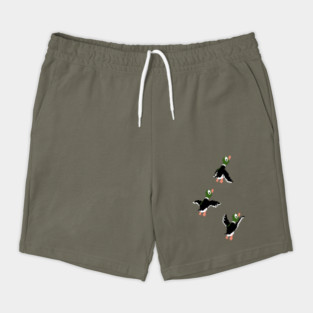 Ducks Shorts