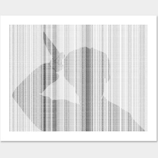 Psycho Posters and Art