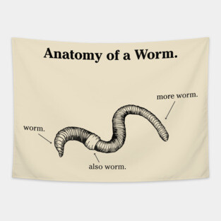 Anatomy of a Worm - Light Tapestry
