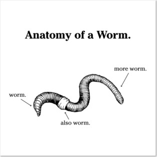 Anatomy of a Worm - Light Posters and Art