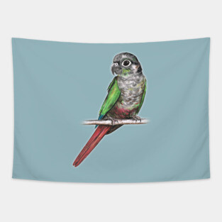 Green-cheeked conure Tapestry