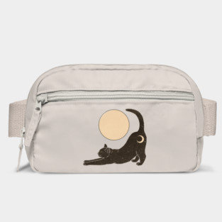 Cat Bag