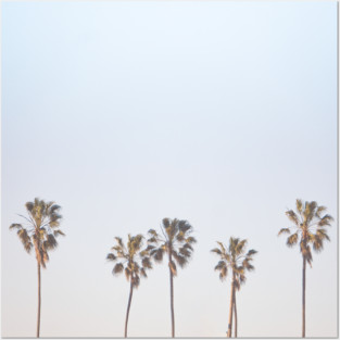 Palm Trees Posters and Art