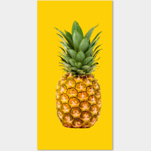 PINEAPPLE Posters and Art