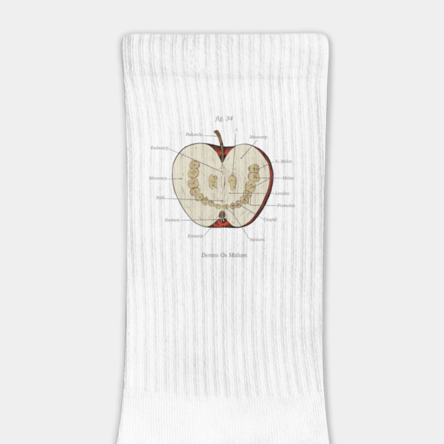 The Magnus Archives - Anatomy Class - Teeth Apple by Rusty Quill