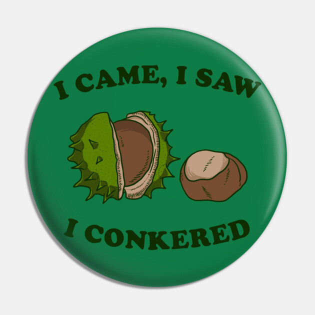I Came I Saw I Conkered Pin by dumbshirts