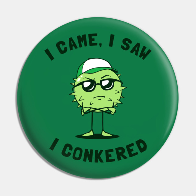 I Came I Saw I Conkered Pin by dumbshirts