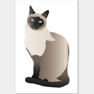 Graceful Siamese Cat Posters and Art