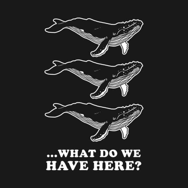 Whale Whale Whale by dumbshirts
