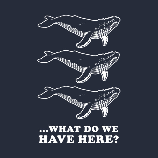 Whale Whale Whale by dumbshirts