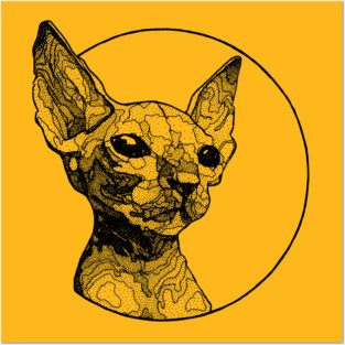 Inside out sphynx cat Posters and Art
