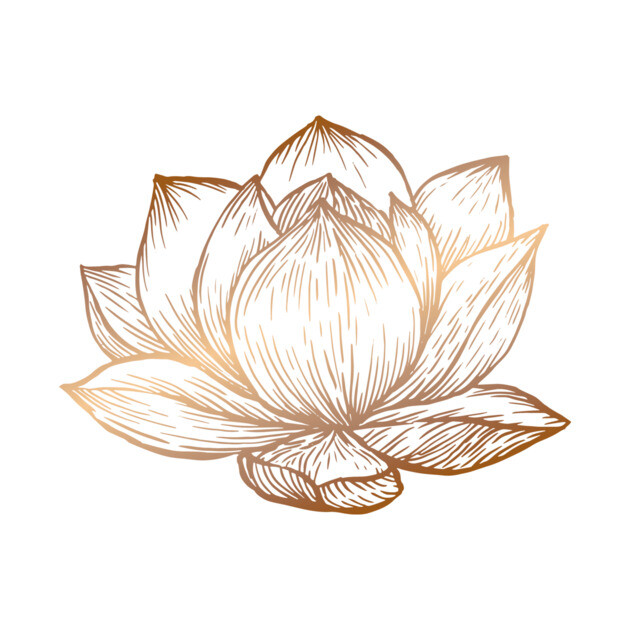 Golden Lotus Flower on White by Cecilia Mok