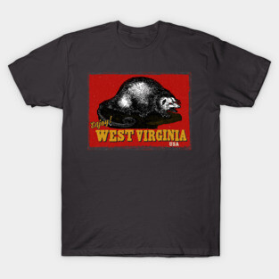 Vintage West Virginia Tourist T-Shirt