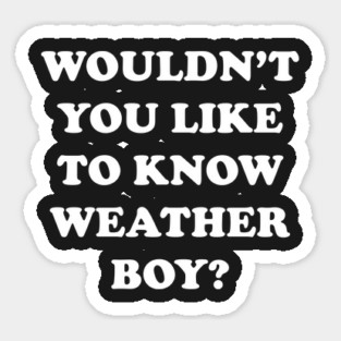 Wouldn't You Like To Know Weather Boy Magnet