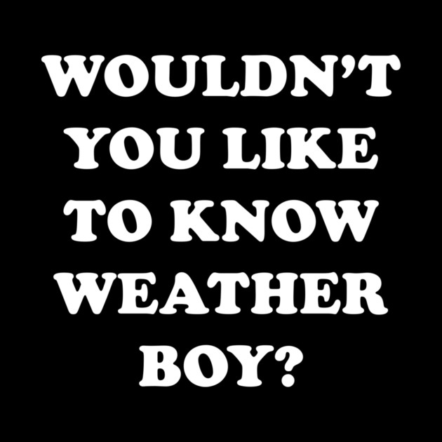 Wouldn't You Like To Know Weather Boy by dumbshirts