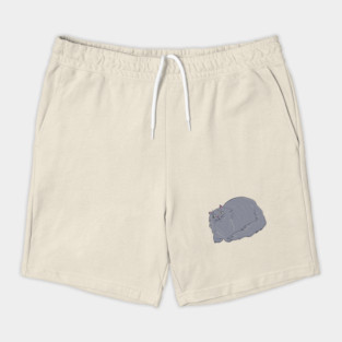 Fluffy Gray Cat Shorts