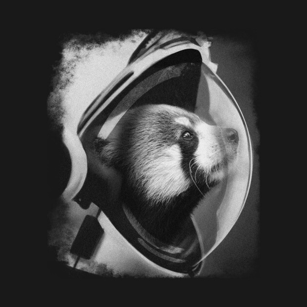 Red PANDA in the space by anghewolf