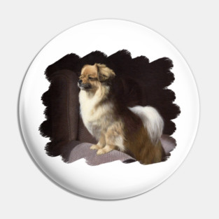 Tibetan Spaniel Painting Pin