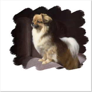 Tibetan Spaniel Painting Posters and Art