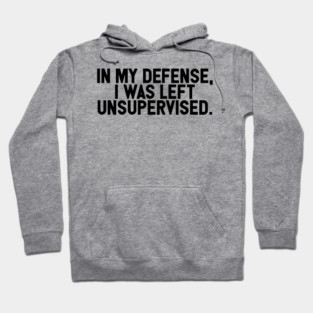 I Was Left Unsupervised Hoodie