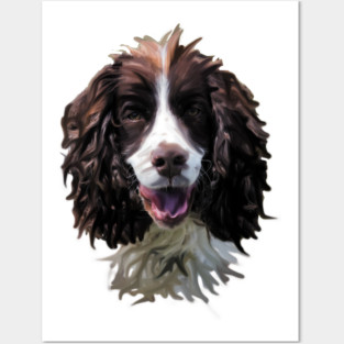 Springer Spaniel Dog Posters and Art