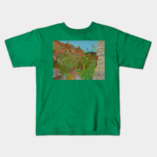 Pima Canyon in Tucson, Arizona, USA Kids T-Shirt