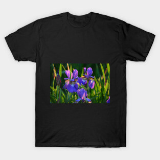 Iris Beauty T-Shirt