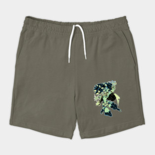Gazer girl Shorts