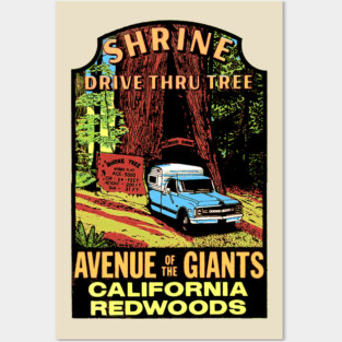 California Redwoods Posters and Art